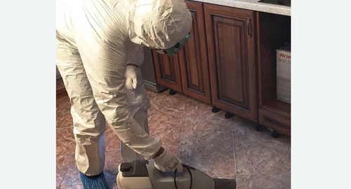 Уничтожение тараканов в квартире. СЗАО Москвы